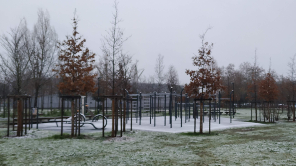 Afternoon walk - Street Workout