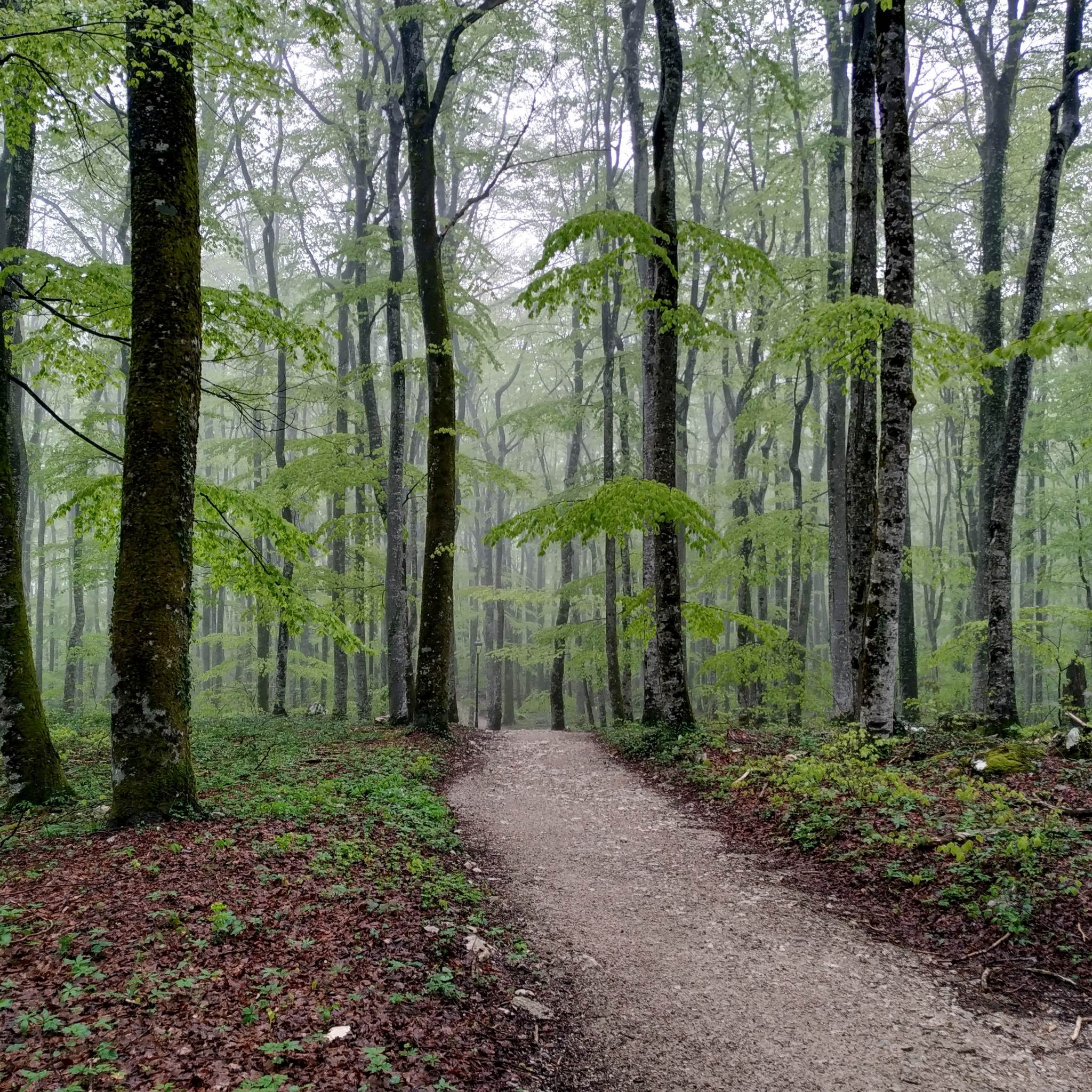 Plitvička jezera